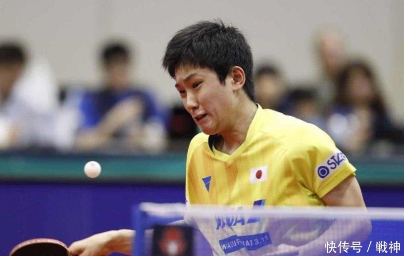 团队的支持 团队的支持