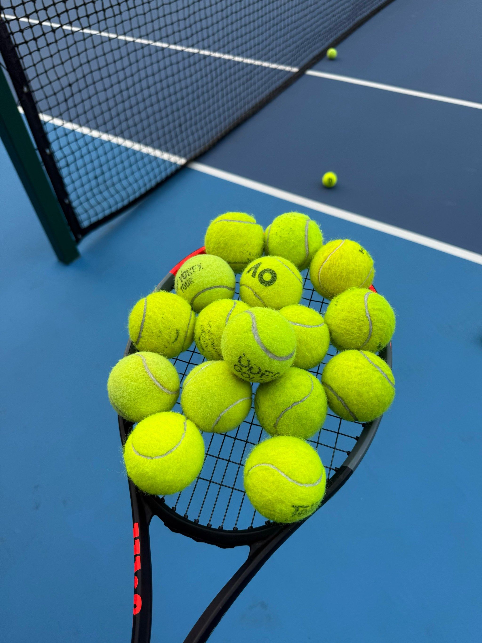 你才能把看 你才能把看